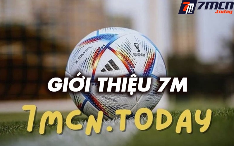 Giới thiệu nemo4d.io